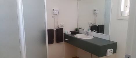 Un baño con un lavamanos blanco, encimera oscura y un espejo. Hay dos toallas colgadas en la pared, una planta pequeña sobre la encimera y un enchufe blanco.