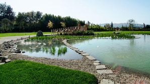 A tranquil garden with a pond, stone pathway, and a wooden fence.