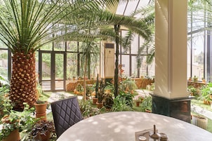 Un invernadero con diversas plantas en macetas, una palmera grande y una mesa redonda con una silla.