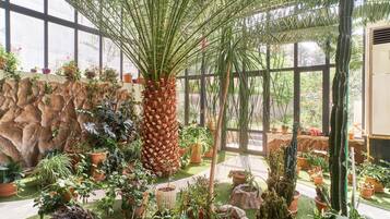 A greenhouse with various potted plants, a palm tree, and a rock wall.