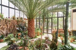 A greenhouse with various potted plants, a palm tree, and a rock wall. - S&L Boutique Hotel  (Tbilisi)