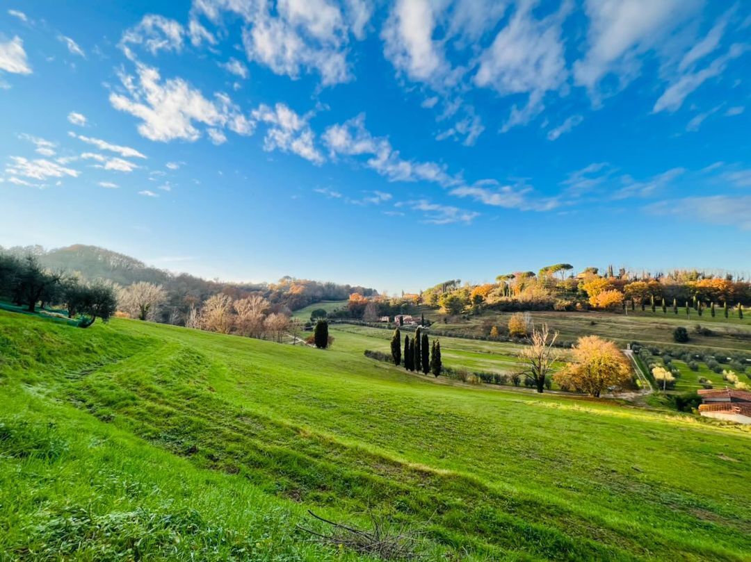 Un paisaje verde y exuberante con colinas onduladas y un cielo azul despejado.
