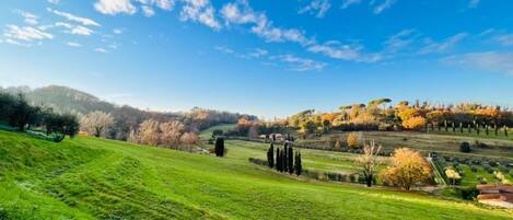 Un paisaje verde y exuberante con colinas onduladas y un cielo azul despejado.