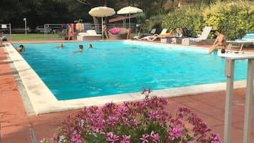 Seasonal outdoor pool, pool umbrellas, pool loungers