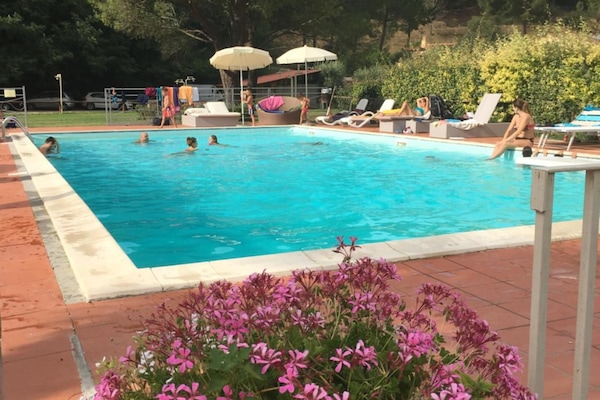 Seasonal outdoor pool, pool umbrellas, sun loungers