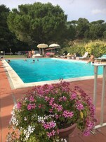 Una piscina con sillas de descanso y sombrillas, rodeada de vegetación y un parterre de flores.