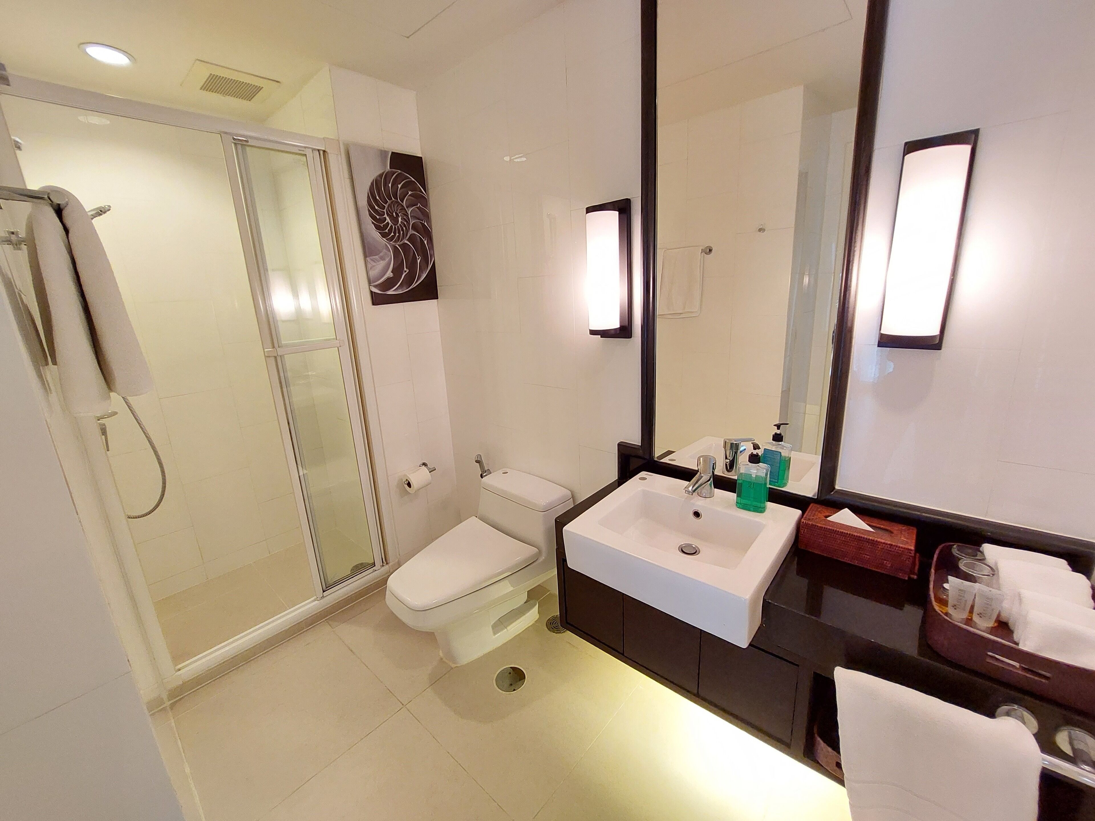 shower, free toiletries, hair dryer, bidet