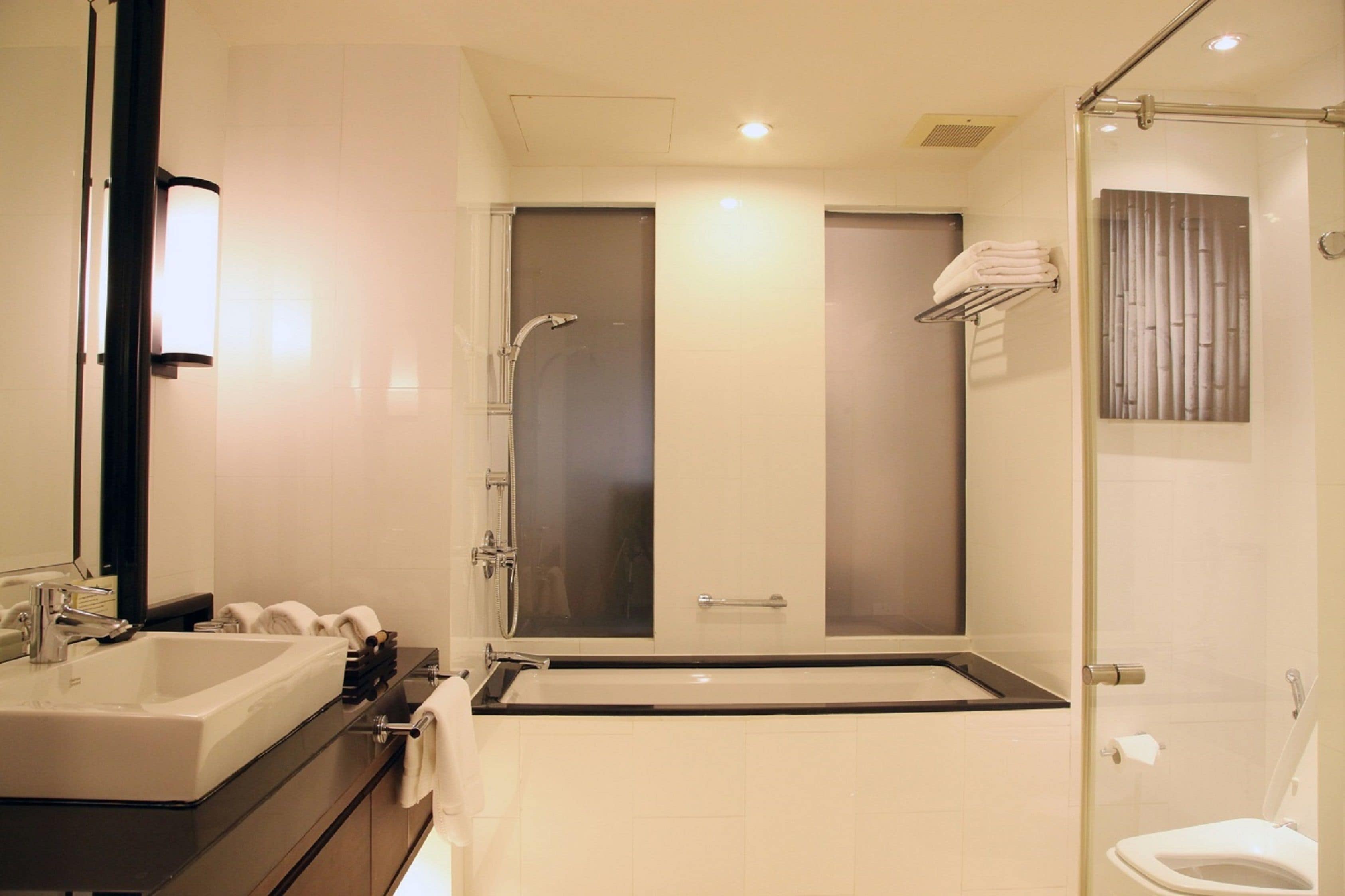 shower, free toiletries, hair dryer, bidet