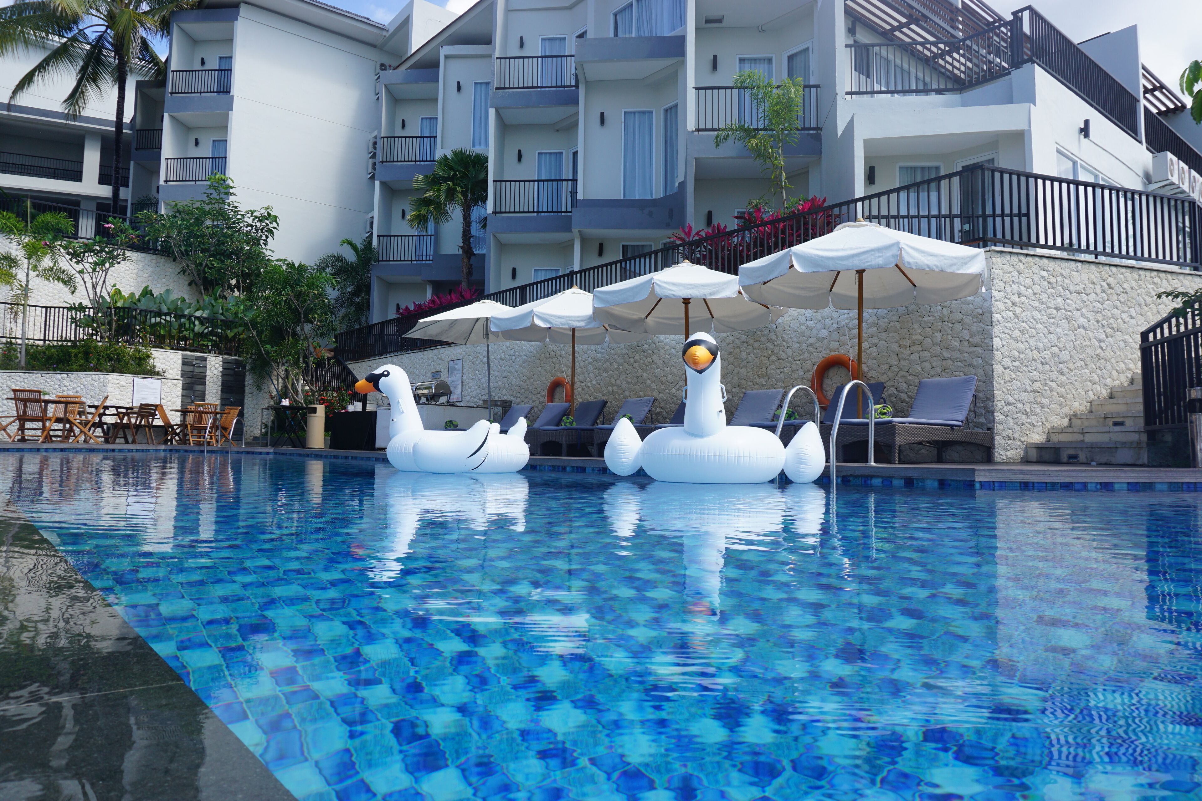 Une piscine avec des bouées gonflables en forme de cygne et des chaises longues.