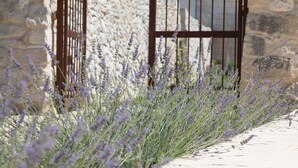A stone wall with a metal gate and lavender plants in front. - Don Agostino Relais Masseria (Martano)