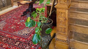 A grand room with a red patterned carpet, a large potted plant, a wooden staircase, and a chandelier. - Vineyard Mansion & Carriage House Bed & Breakfast (St. Joseph)