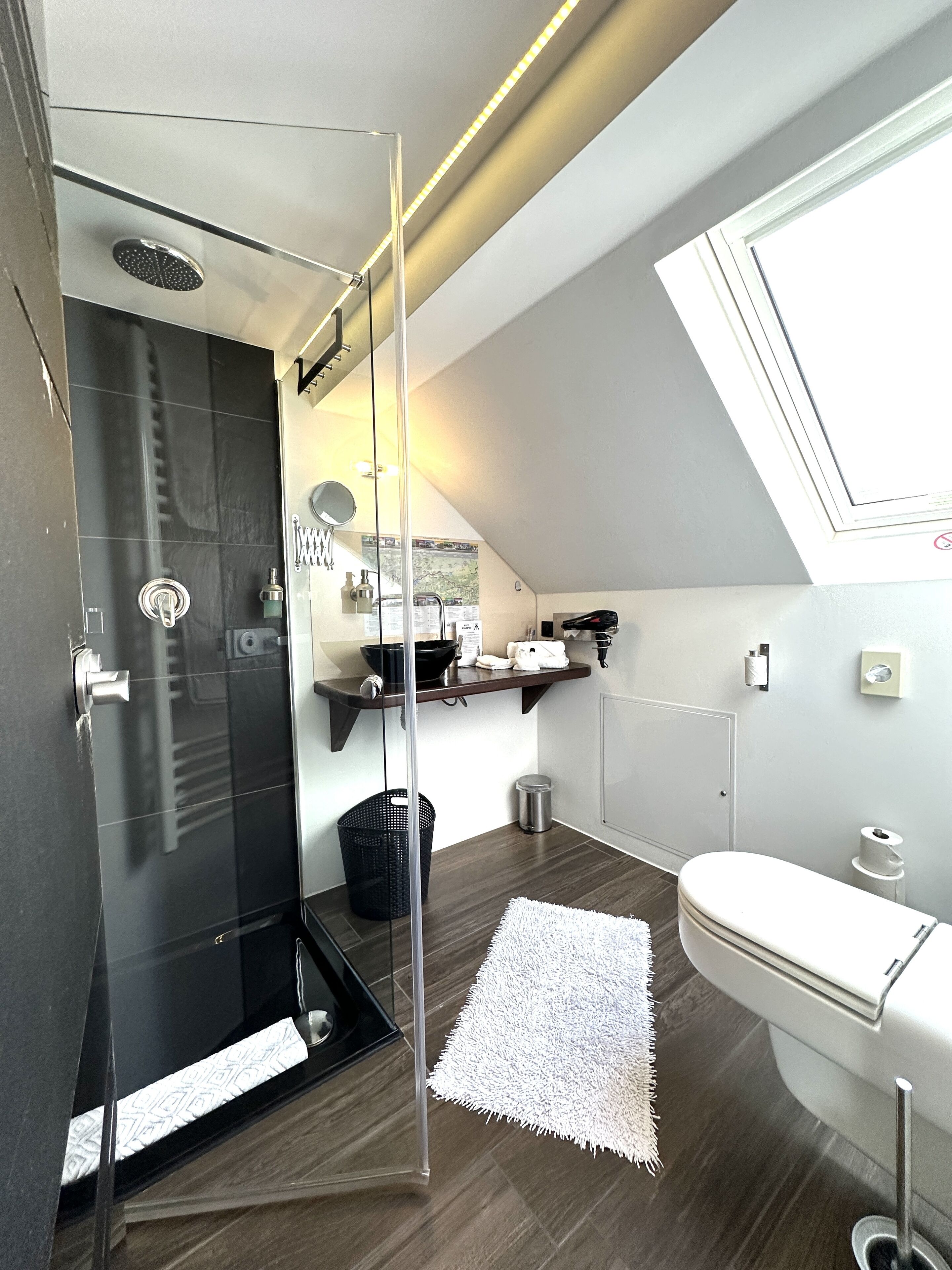 A modern bathroom with a glass shower enclosure, a white toilet, and a small sink area.