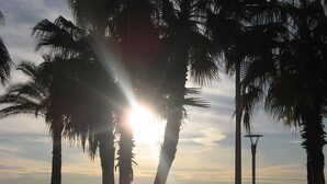 Une vue sur le coucher de soleil, avec des palmiers et un lampadaire au bord de la plage.