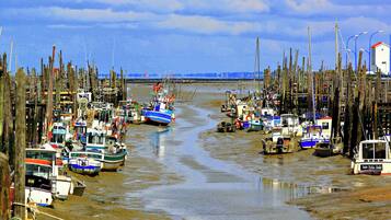 A harbor with numerous boats docked, surrounded by wooden poles.