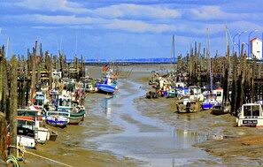 A harbor with numerous boats docked along the shore, surrounded by wooden posts.