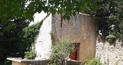 Appartement dans un mas provençal en campagne d'Orange