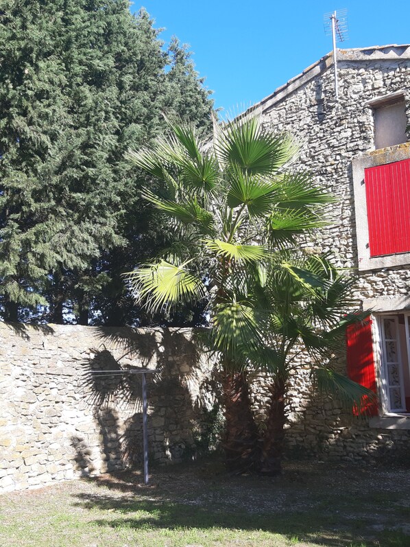 A stone building with a red shutter, a palm tree, and a clear blue sky. - Apartment in a Provençal farmhouse in the countryside near Orange (Orange)