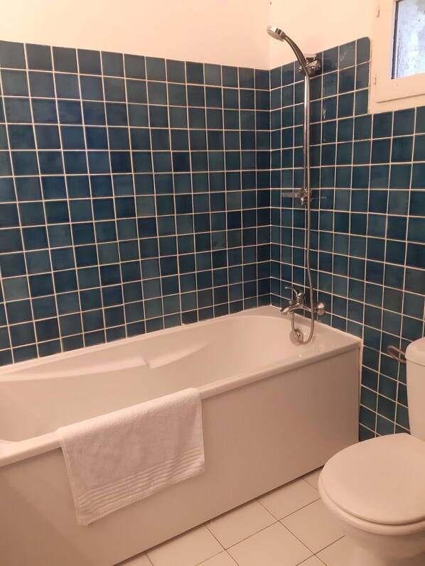 Une salle de bain avec une baignoire, des toilettes et une douche.