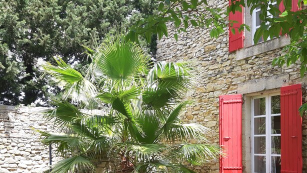 A stone building with red shutters, a palm tree, and a table with chairs in the foreground. - Apartment in a Provencal farmhouse in the Orange countryside (Orange)