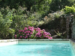 Alberca al aire libre 