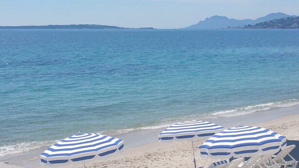 Una playa con varias sombrillas de playa a rayas y sillas reclinables.