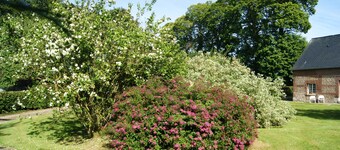 Charming Normandy cottage chestnut 15 km from Etretat in Upper Normandy