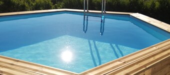 Le fragole selvatiche