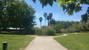 Un sendero pavimentado en un parque, con árboles y palmeras al fondo.