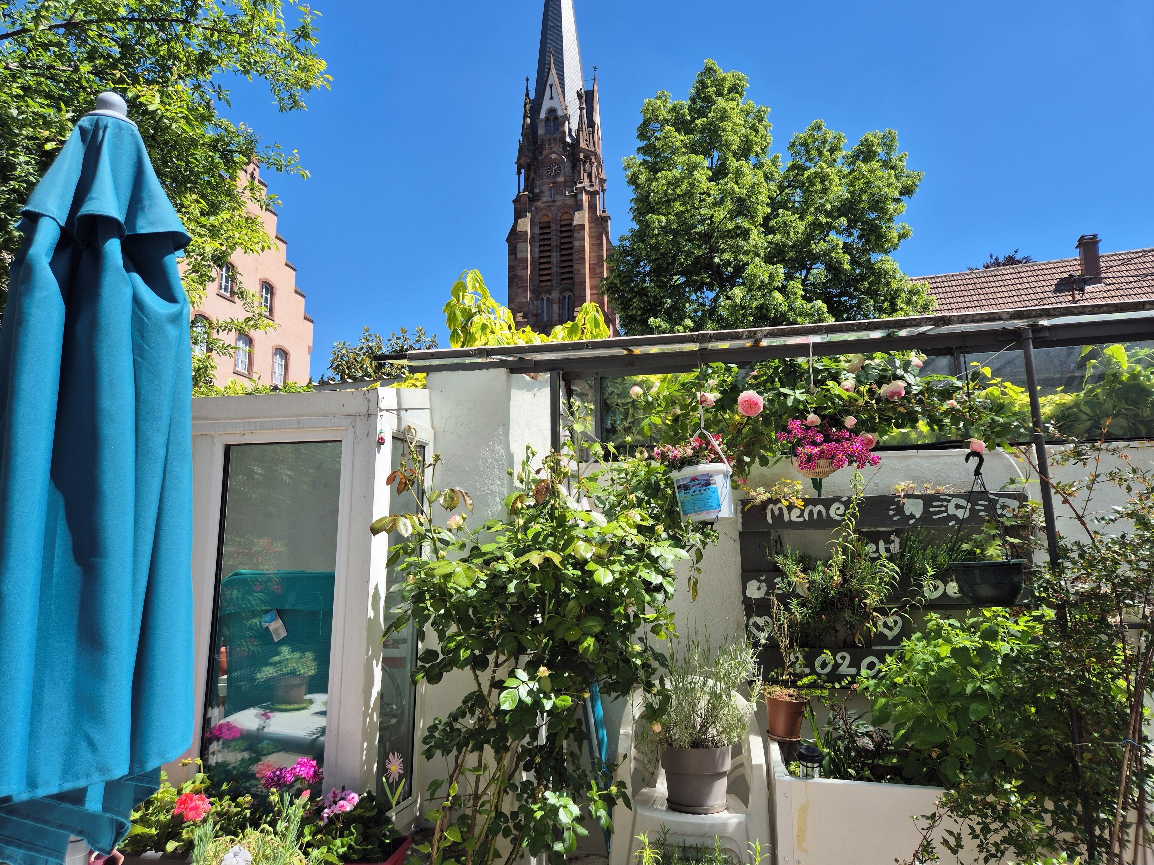 A rooftop garden with potted plants and flowers, a church steeple in the background, and a clear blue sky.