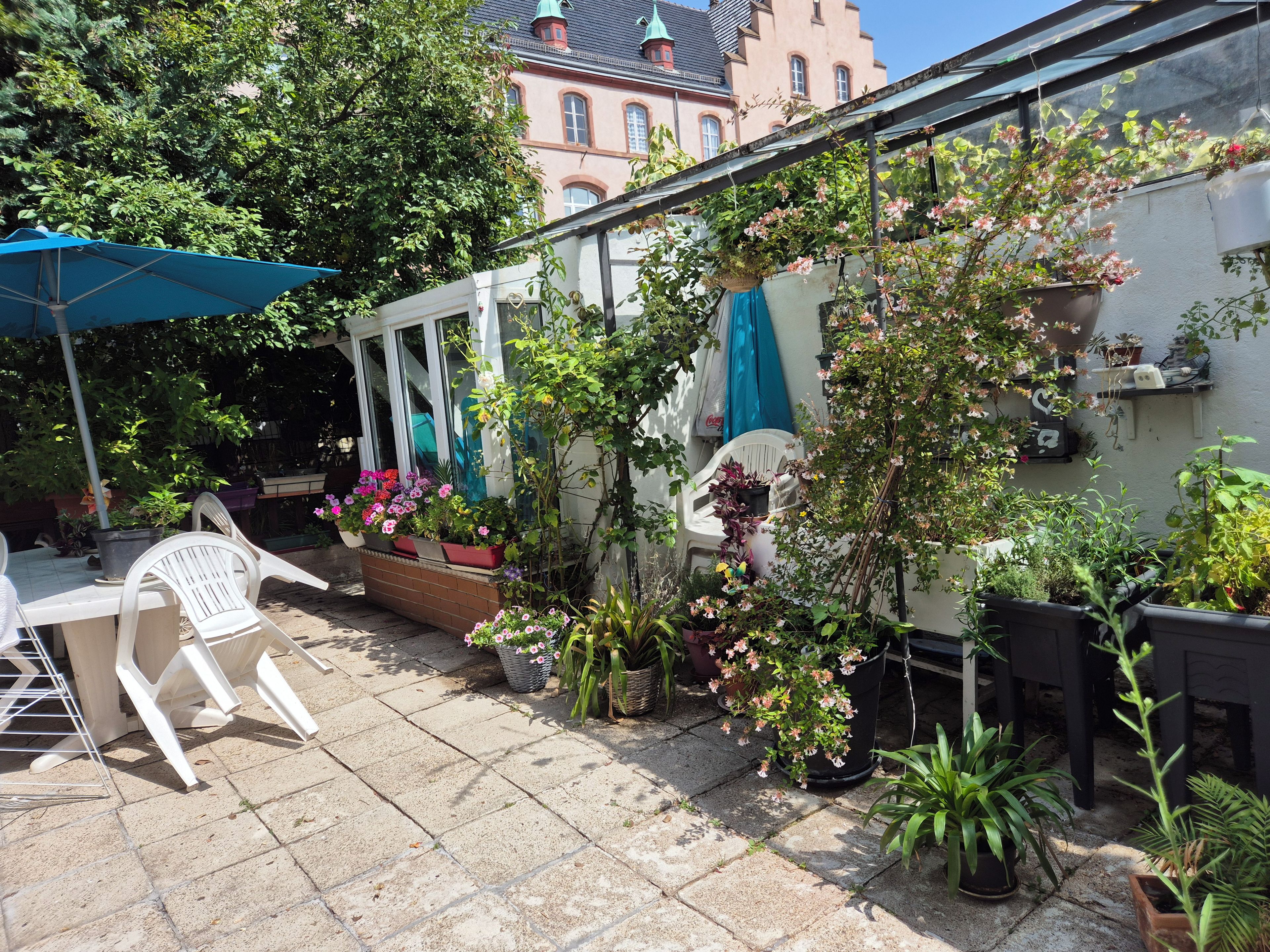 Un patio con plantas en macetas, una silla de plástico blanca y una sombrilla azul.