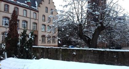 On the wine road close to Strasbourg