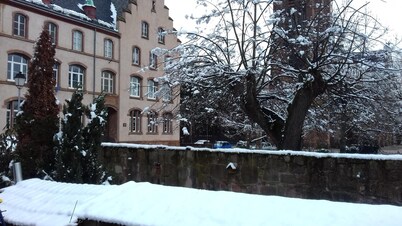 On the wine road close to Strasbourg