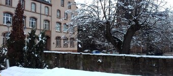 On the wine road close to Strasbourg