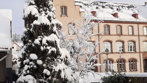 A snow-covered balcony with a potted plant, a window, and a building in the background.