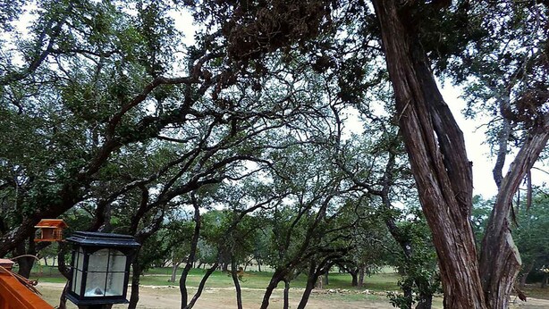 A wooden deck with a lantern and birdhouse, surrounded by trees and a dirt path. - BirdHouse Suite @ HomeAway Ranch (Boerne)