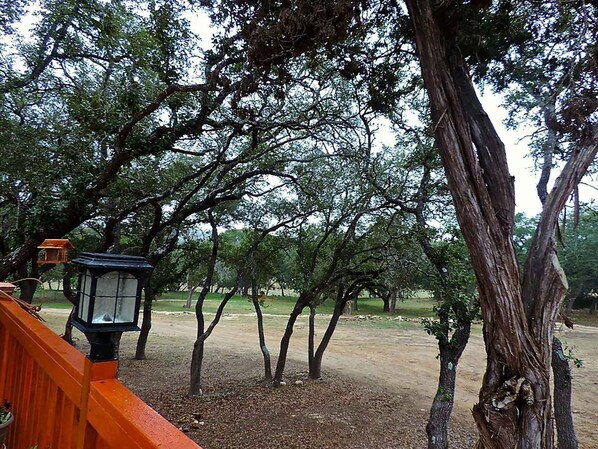 Property grounds - BirdHouse Suite @ HomeAway Ranch (Boerne)