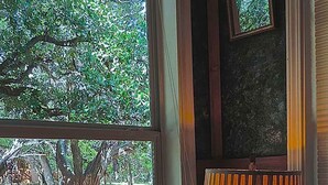 A room with a large window overlooking a garden, a lamp on the windowsill, and a small table with a plant. - BirdHouse Suite @ HomeAway Ranch (Boerne)