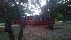 A wooden cabin with a porch, surrounded by trees. - BirdHouse Suite @ HomeAway Ranch (Boerne)