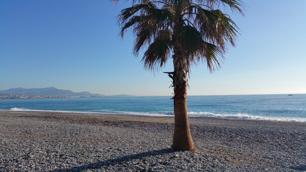 A beach with pebbles, a palm tree, and a view of the sea and distant mountains. - Residence Provençale Pool Parking WIFI 2 kms Sea Villeneuve Loubet 2 Rooms (Villeneuve-Loubet)