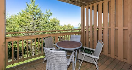 Newly Renovated Snowshoe Summit Condo 101A 3BR/2BA Near Ski Village W/Parking!