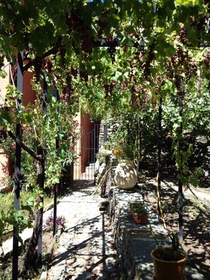 Overnattingsstedets uteområder