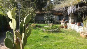A garden with a cactus, various potted plants, and a stone wall. - 'Villino flaminio - Your cottage at Rome in a park ! (Roma, Monte Caminetto)
