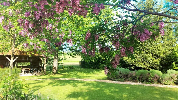 A garden with a wooden structure, green grass, and flowering trees. - French Holiday rental in the Périgord. XVIII th Century stone farmhouse. (Villefranche-Du-Périgord)