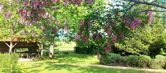 French Holiday rental in the Périgord. XVIII th Century stone farmhouse.