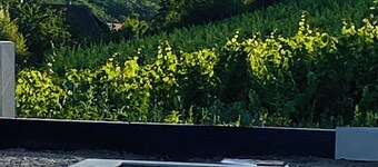 GITE 3* ITTERSWILLER SUR LA ROUTE DES VINS D'ALSACE Swimming pool in 2026