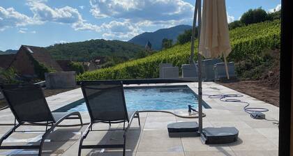 GITE 3* ITTERSWILLER SUR LA ROUTE DES VINS D'ALSACE
Piscine en 2026