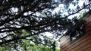 A small wooden cabin with a wooden deck and a door. - Butterflies Cabin @ HomeAway Ranch (Boerne)