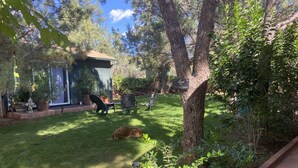 En baghave med en hund, der ligger på græsset, omgivet af plantede krukker, et lille skur og et skilt med teksten 'The Zen Space'.