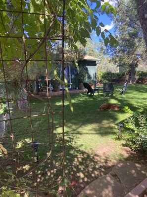 Property grounds - Charming detached guest bedroom , idyllic tranquil setting (Sedona)