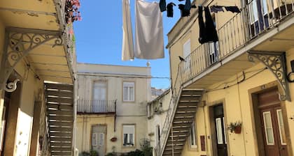 The Back Street Nest- At The End Of A Dead End Back Street